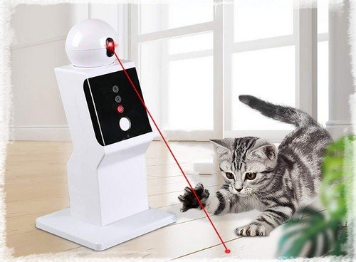 Robot Pointeur Laser Automatique Rotatif Chat - Pilou Family